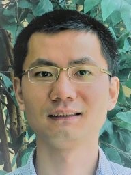Yang LIU